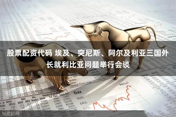 股票配资代码 埃及、突尼斯、阿尔及利亚三国外长就利比亚问题举行会谈