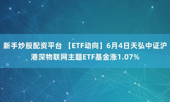 新手炒股配资平台 【ETF动向】6月4日天弘中证沪港深物联网主题ETF基金涨1.07%