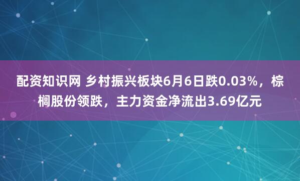 配资知识网 乡村振兴板块6月6日跌0.03%，棕榈股份领跌，主力资金净流出3.69亿元
