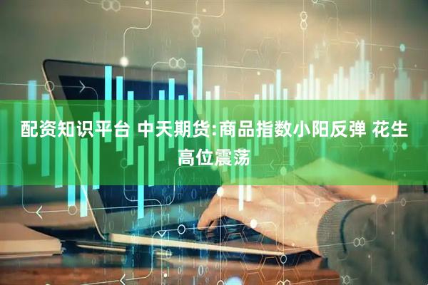 配资知识平台 中天期货:商品指数小阳反弹 花生高位震荡