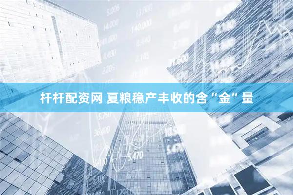 杆杆配资网 夏粮稳产丰收的含“金”量