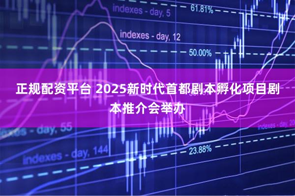 正规配资平台 2025新时代首都剧本孵化项目剧本推介会举办